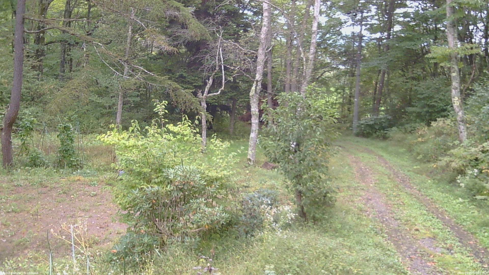 長野県菅平高原 ゆたか山荘 坂上 2026/09/27 13:00