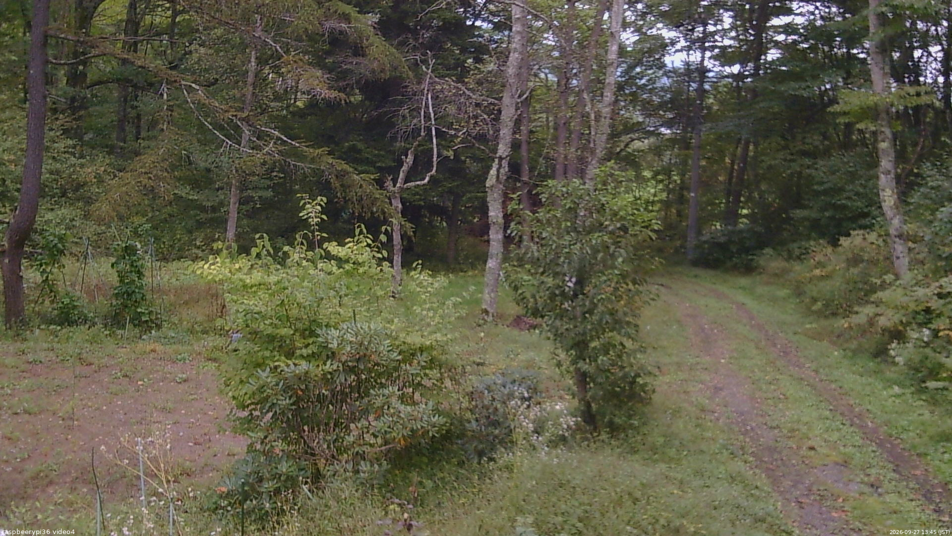 長野県菅平高原 ゆたか山荘 坂上 2026/09/27 13:45