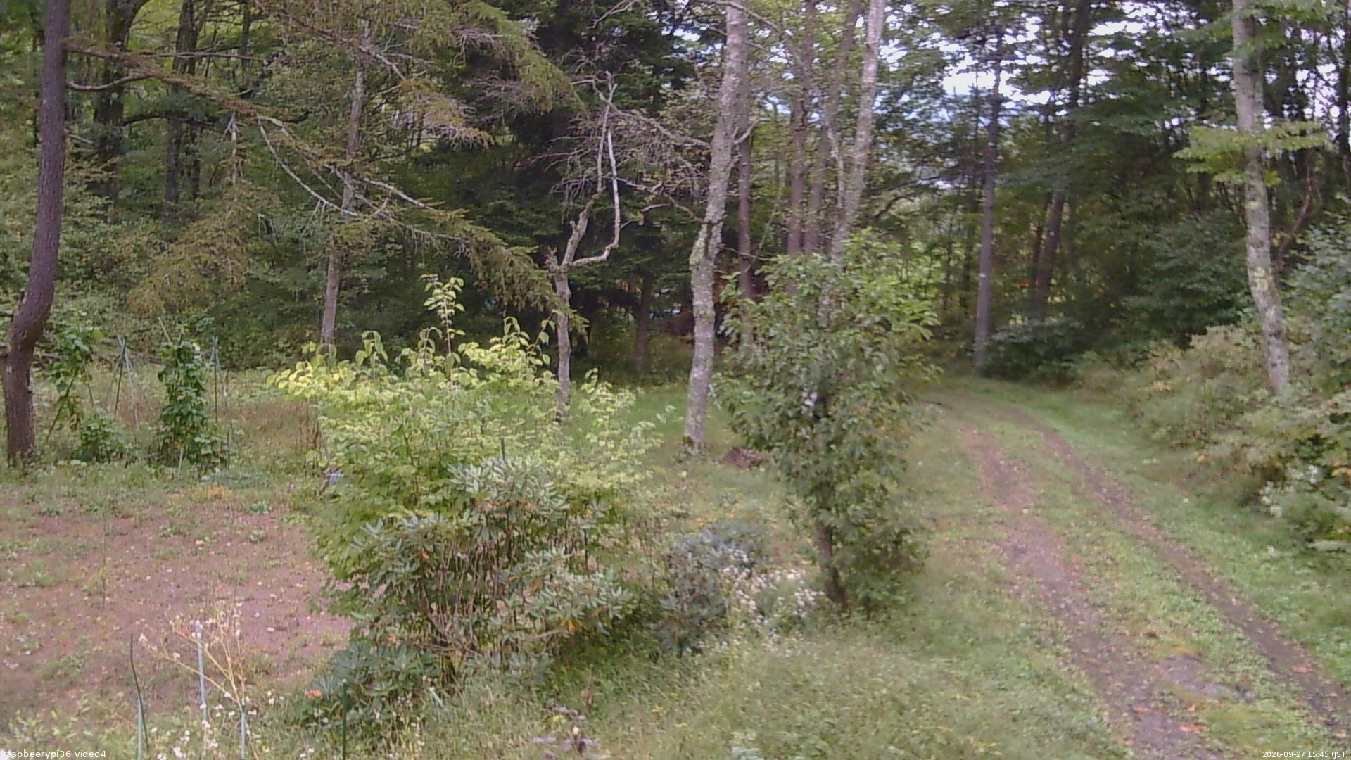 長野県菅平高原 ゆたか山荘 坂上 2026/09/27 15:45