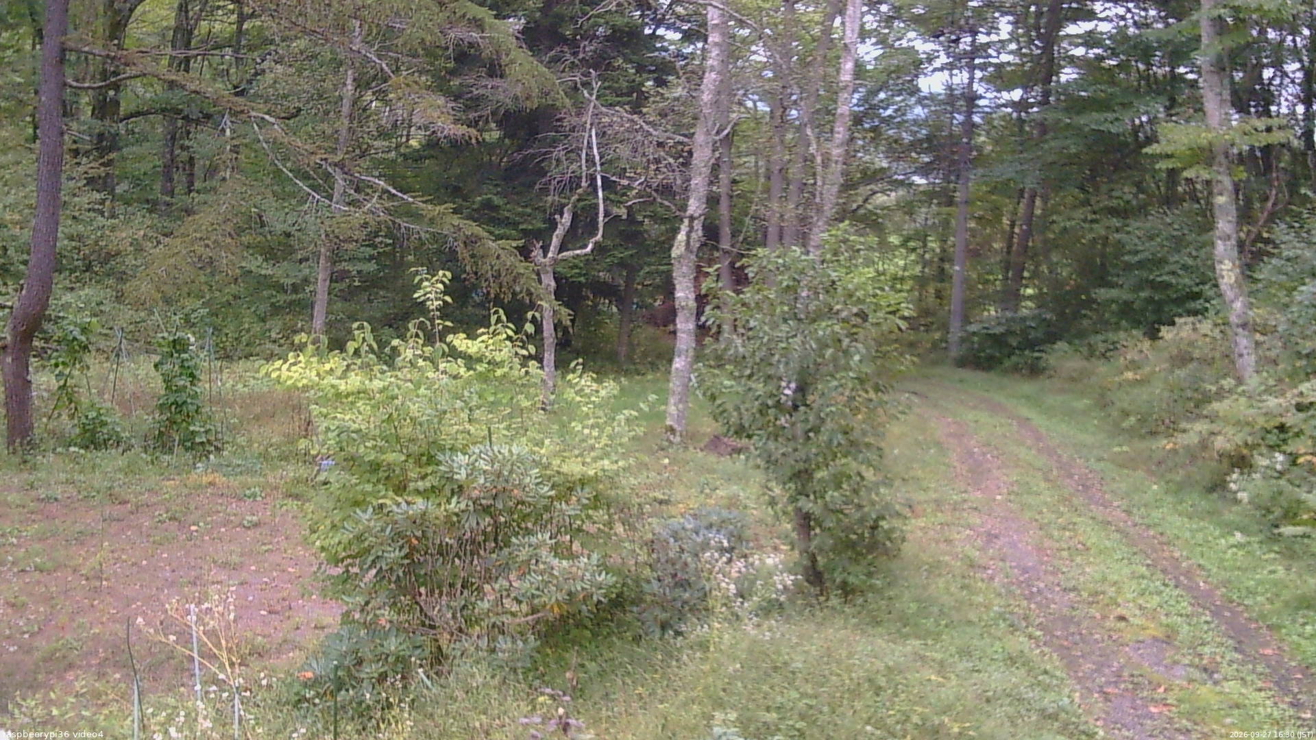 長野県菅平高原 ゆたか山荘 坂上 2026/09/27 16:30
