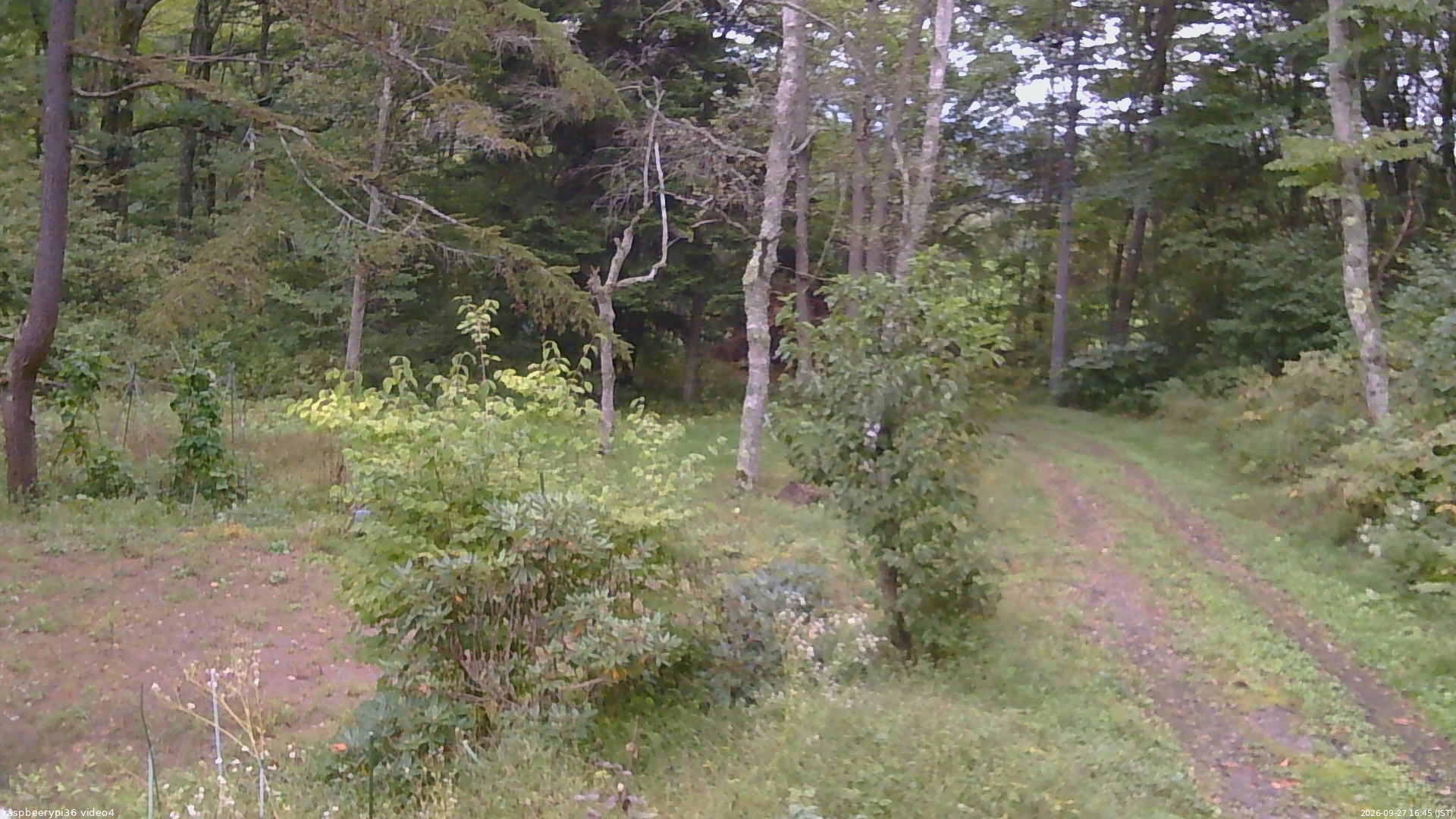 長野県菅平高原 ゆたか山荘 坂上 2026/09/27 16:45